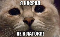 я насрал не в латок!!!