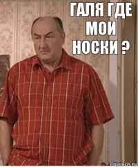 Галя где мои носки ?