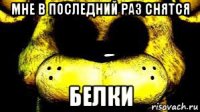 мне в последний раз снятся белки