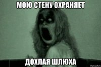 мою стену охраняет дохлая шлюха