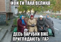 йой ти така велика десь парубки вже приглядають , га?