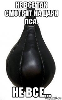 не все так смотрят на царя пса. не все...
