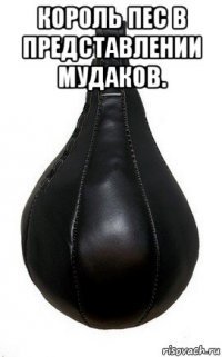 король пес в представлении мудаков. 