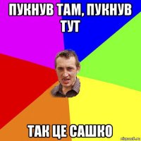 пукнув там, пукнув тут так це сашко