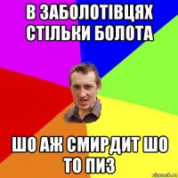 в заболотівцях стільки болота шо аж смирдит шо то пиз