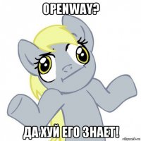 openway? да хуй его знает!