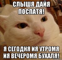 слышя дайя поспатя! я сегодня ия утромя ия вечеромя бухаля!