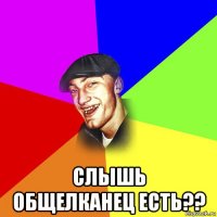  слышь общелканец есть??