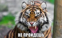 ты не пройдешь