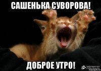 сашенька суворова! доброе утро!