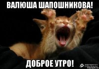 валюша шапошникова! доброе утро!