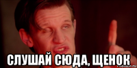  слушай сюда, щенок
