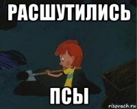 расшутились псы