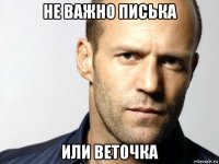 не важно писька или веточка