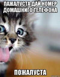 пажалуста дай номер домашниго телефона пожалуста
