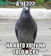 а че??? на кого хочу на того и сру