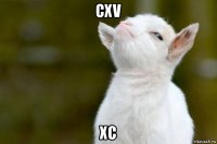 cxv xc