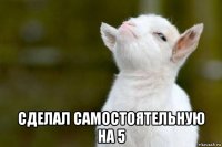  сделал самостоятельную на 5