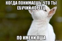 когда понимаешь, что ты ебучий кореец по имени яша