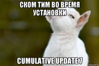 ском тим во время установки cumulative update 7