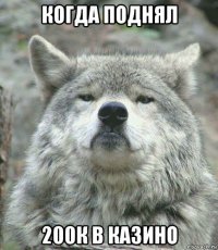 когда поднял 200к в казино