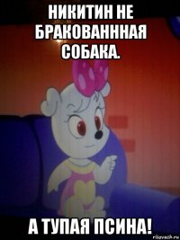 никитин не бракованнная собака. а тупая псина!
