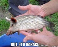  ВОТ ЭТО КАРАСЬ..........