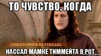 то чувство, когда нассал мамке тиммейта в рот