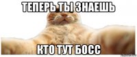 теперь ты знаешь кто тут босс