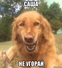 саша не угорай