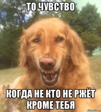 то чувство когда не кто не ржёт кроме тебя