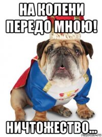 на колени передо мною! ничтожество...