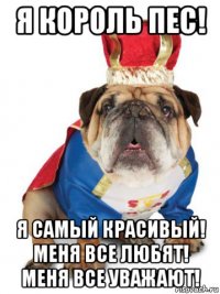 я король пес! я самый красивый! меня все любят! меня все уважают!