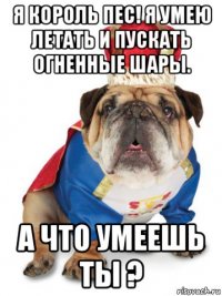 я король пес! я умею летать и пускать огненные шары. а что умеешь ты ?