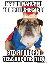 марин максим! ты ничтожество! это я говорю тебе,король пес!
