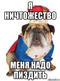 я ничтожество меня надо пиздить