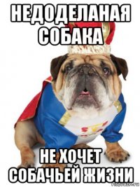 недоделаная собака не хочет собачьей жизни