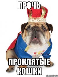 прочь проклятые кошки