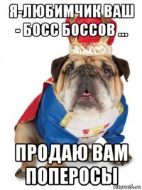 я-любимчик ваш - босс боссов ... продаю вам поперосы