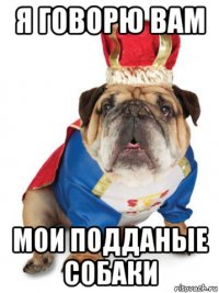 я говорю вам мои подданые собаки
