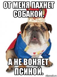 от меня пахнет собакой. а не воняет псиной.