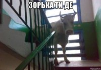 зорька ти де 