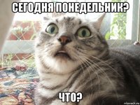 сегодня понедельник? что?