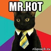 mr.кот 