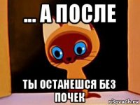 ... а после ты останешся без почек