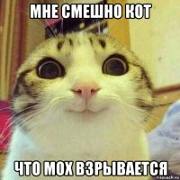 мне смешно кот что мох взрывается