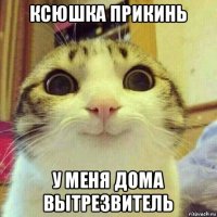 ксюшка прикинь у меня дома вытрезвитель