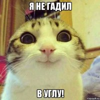 я не гадил в углу!