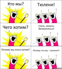 Кто мы? Тюлени! Чего хотим? Спать, лежать, бегемотиться! Почему мы этого хотим? Потому что мы - тюлени!!!