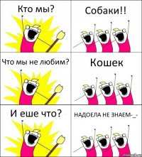 Кто мы? Собаки!! Что мы не любим? Кошек И еше что? НАДОЕЛА НЕ ЗНАЕМ-_-